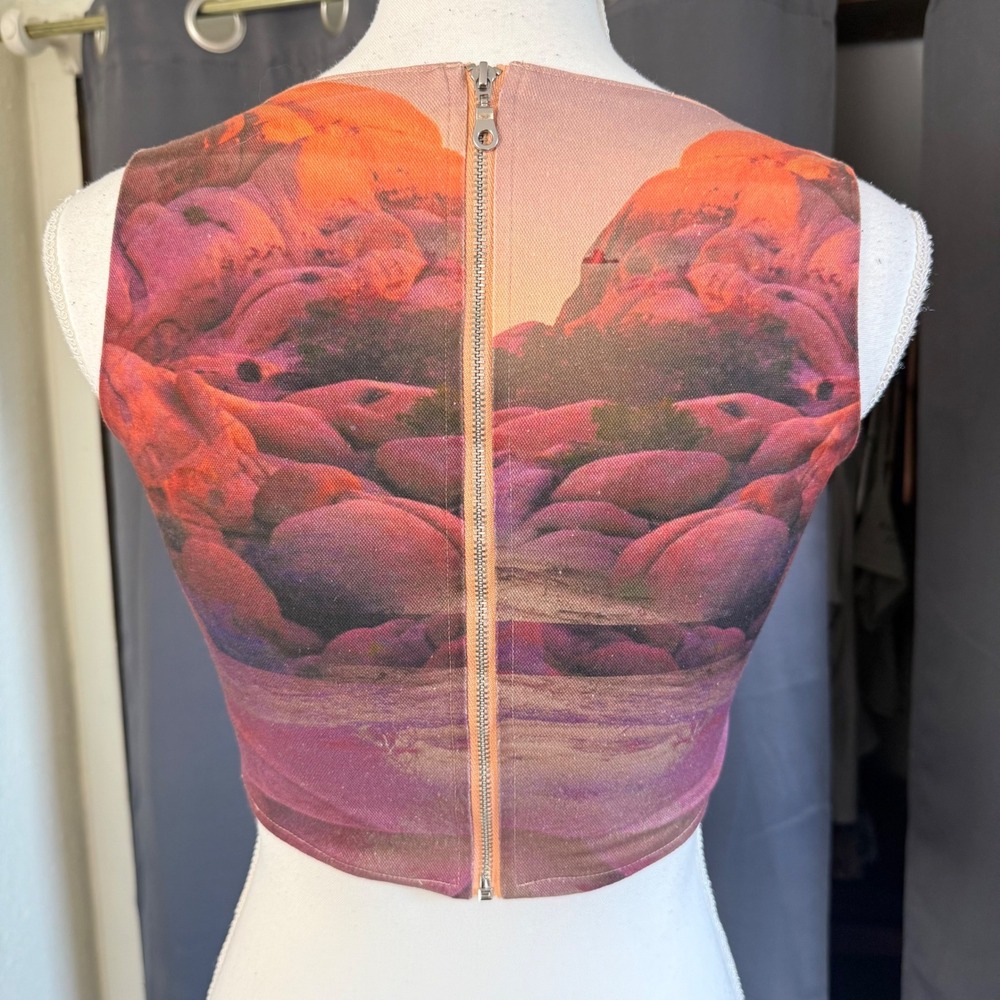 Miaou Campbell Oasis Corset Top Large Orange Desert Waterfall Landscape Boned - Picture 5 of 16